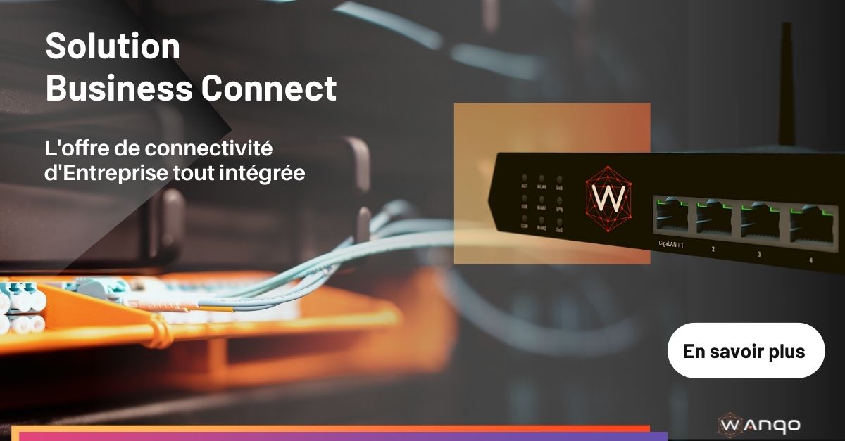 BUSINESS CONNECT la connectivité ultime pour entreprise : FTTO, VPN MPLS/IPSEC, SDWAN, Backup internet