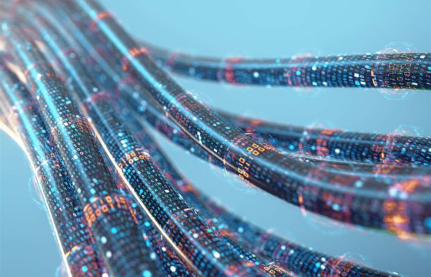 6 bonnes raisons pour votre entreprise de se raccorder à la Fibre Noire 100Gb/s